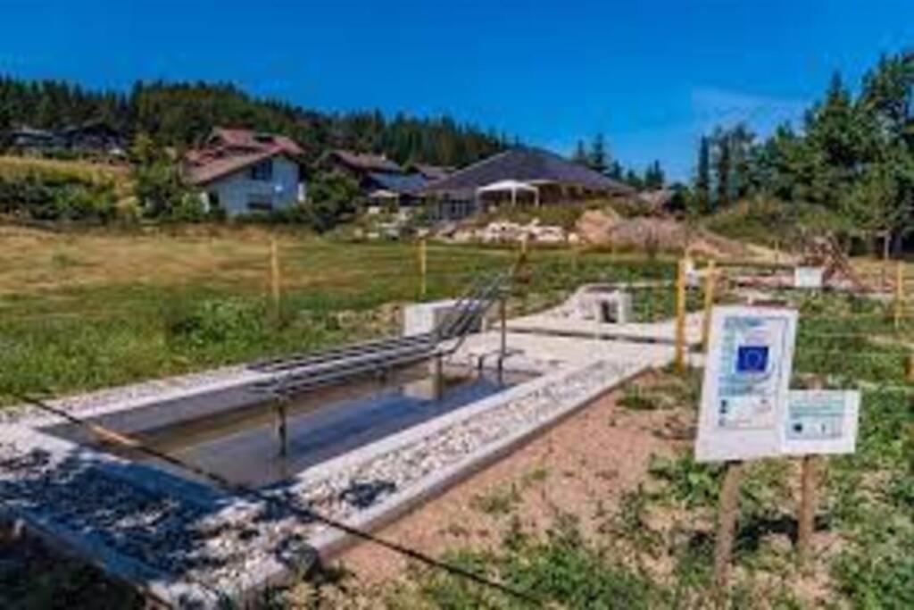 Herrischried Ferienwohnung "Am Skilift" מראה חיצוני תמונה